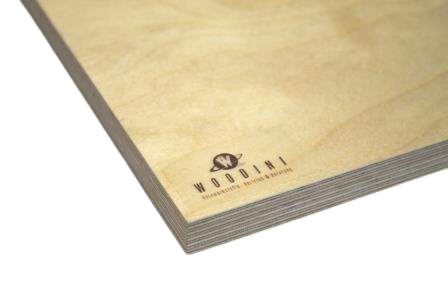 SanDesign_Transapent_H.png