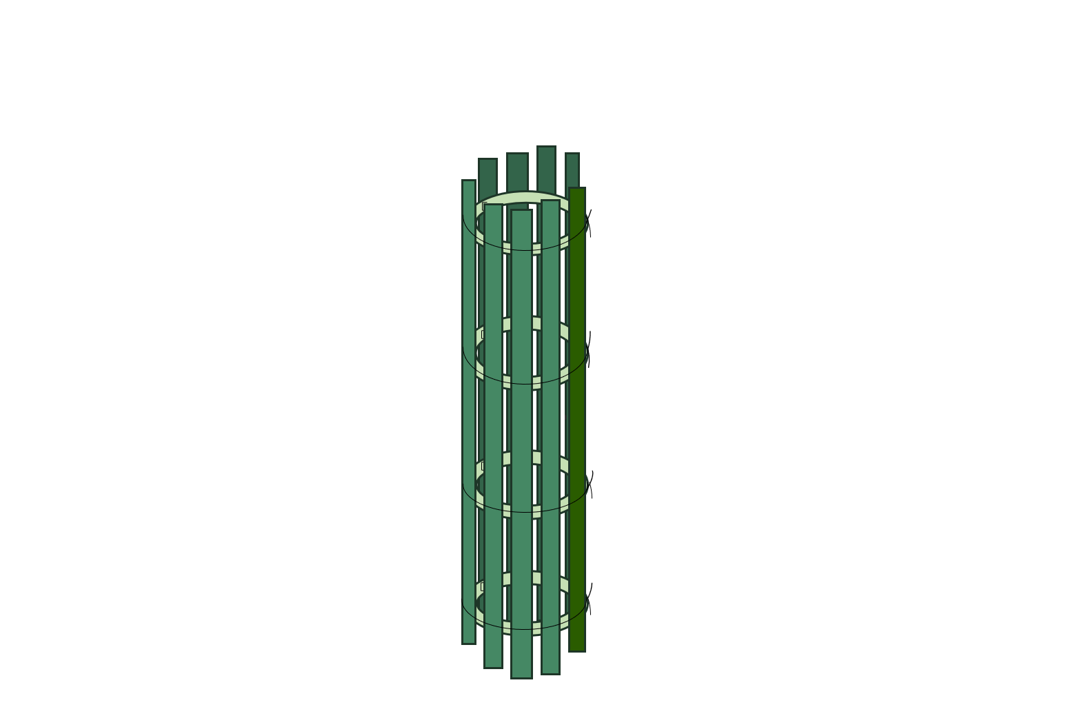 Skizze_Xilo-Baumschutz 9-fach rund.png