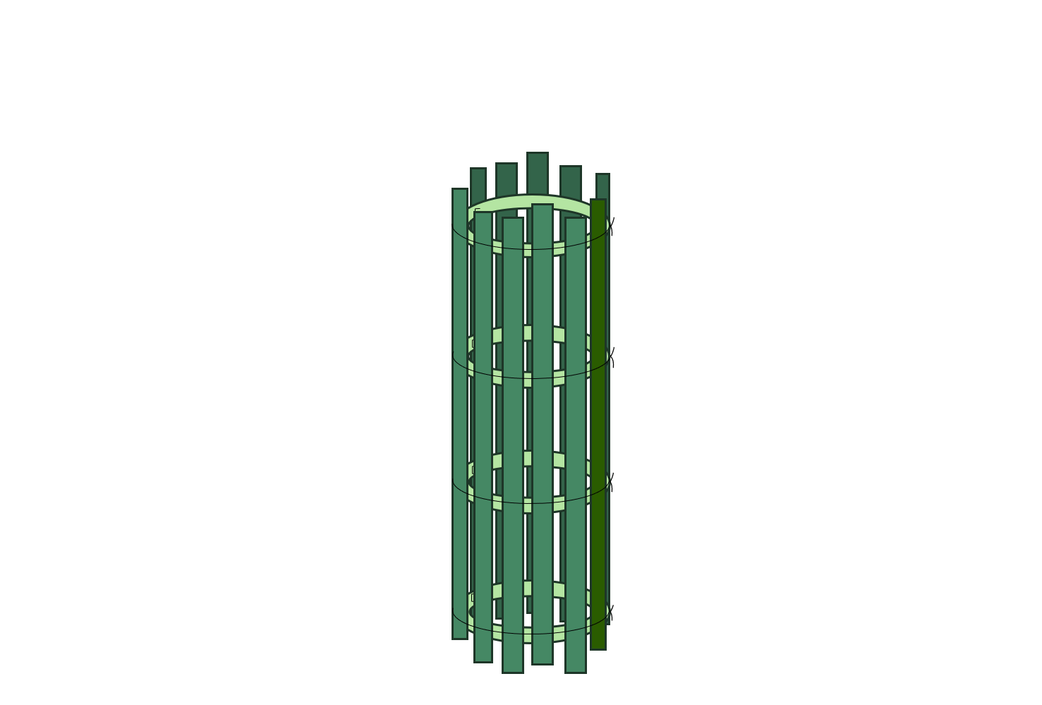 Skizze_Xilo-Baumschutz 11-fach rund.png