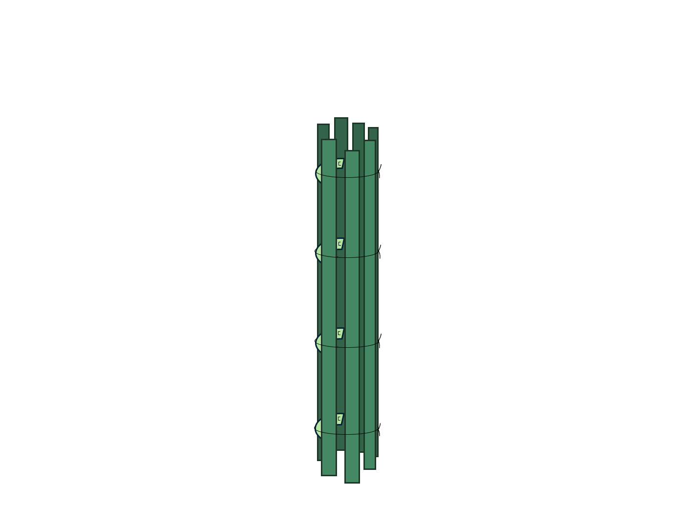Xilo-Fegeschutz rund.png